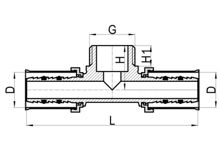 T macho, HS220-013