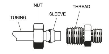 Estructura
